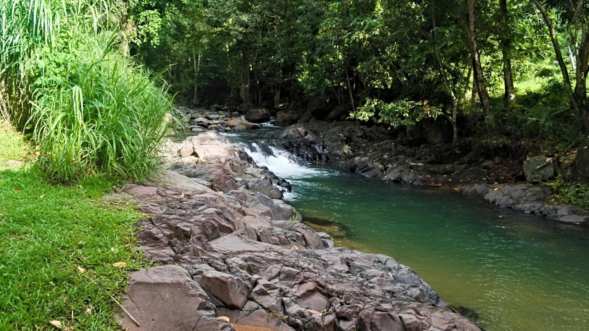 Ti Plen Kreol Villa Pointe-Noire 0*,  Guadeloupe