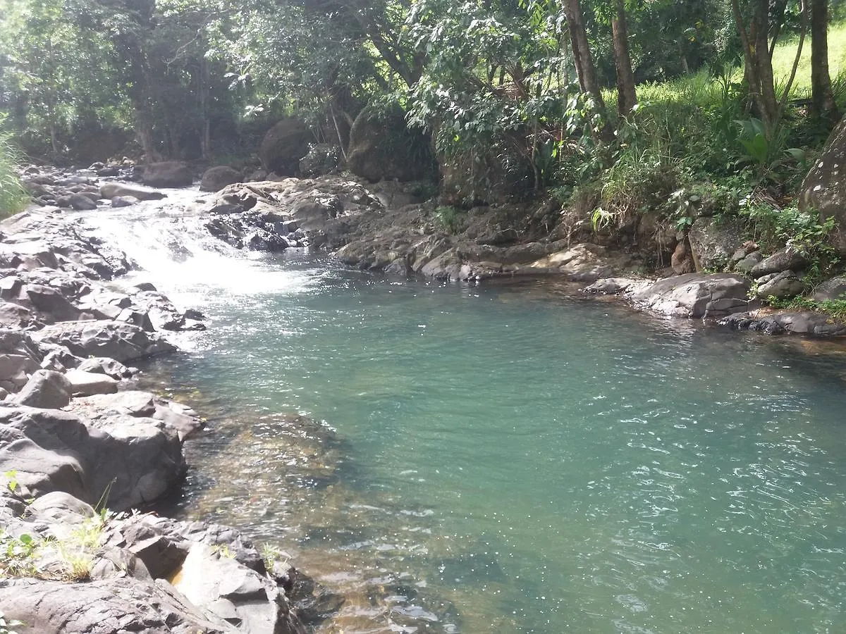 Ti Plen Kreol Villa Pointe-Noire Guadeloupe