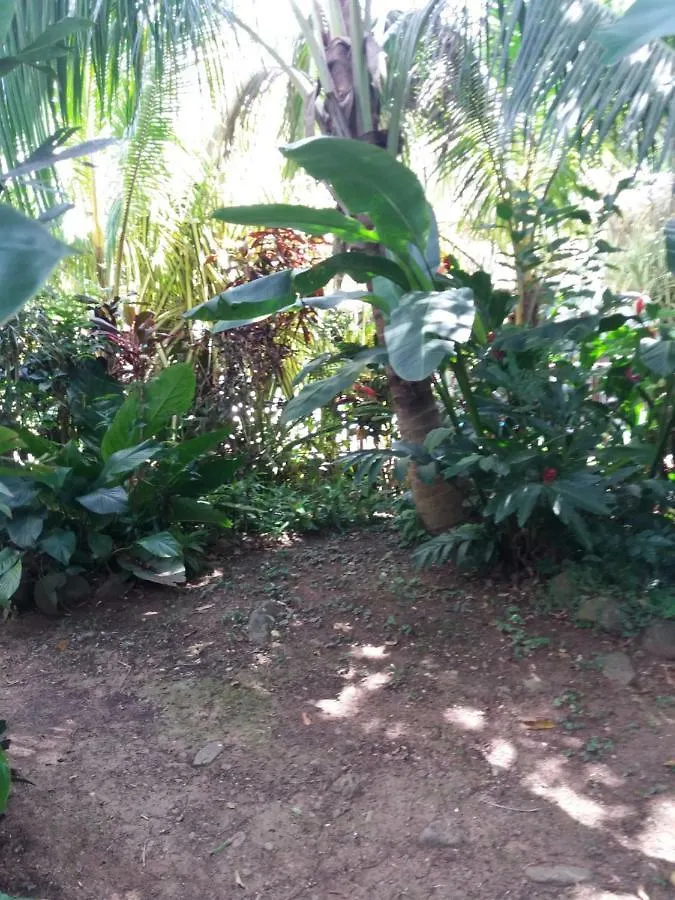 Ti Plen Kreol Villa Pointe-Noire